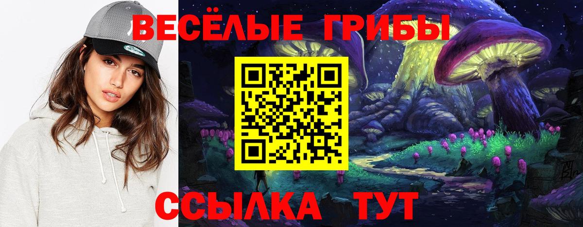 Галлюциногенные грибы прущие грибы Октябрьский